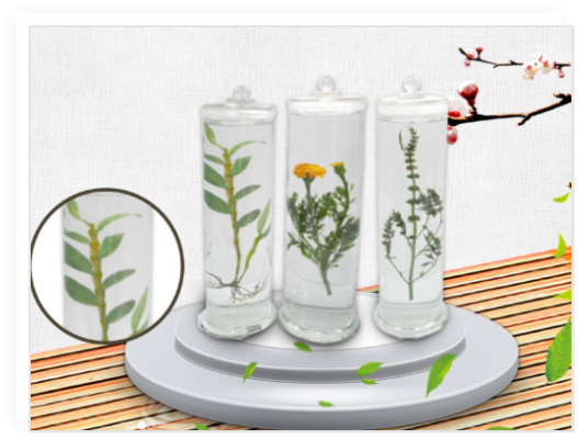 昆蟲分類標(biāo)本_植物病害標(biāo)本_生物顯微玻片_蝴蝶標(biāo)本_新鄉(xiāng)市禾力教學(xué)設(shè)備有限公司